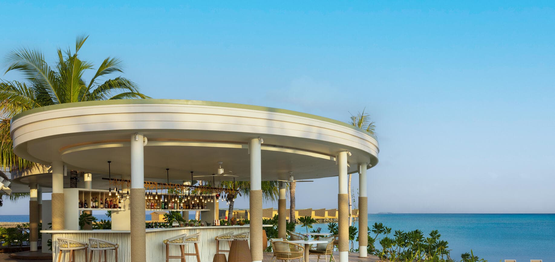 Dolphin Bar - Image 3