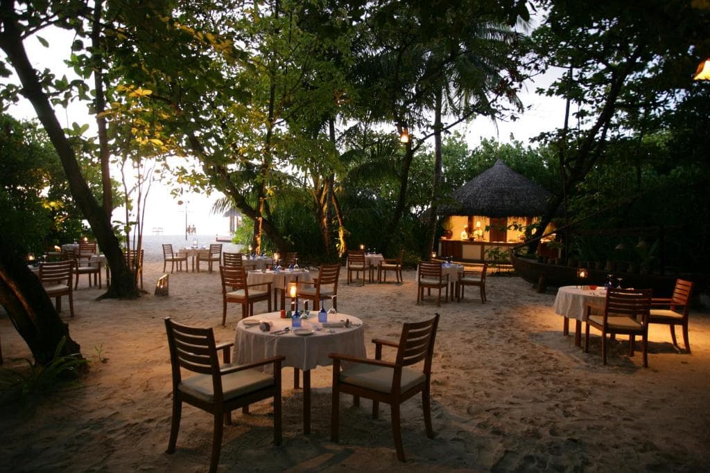 Coco Palm Dhuni Kolhu - Image 3