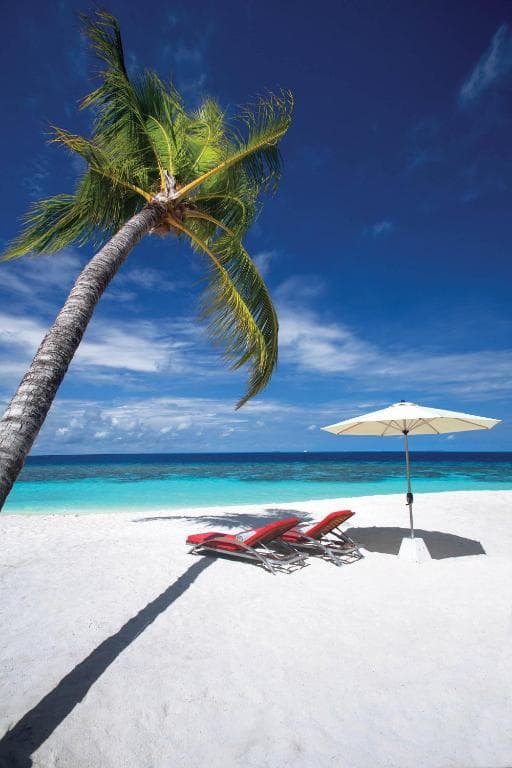 Deluxe Beach Villa with Pool - Image 3
