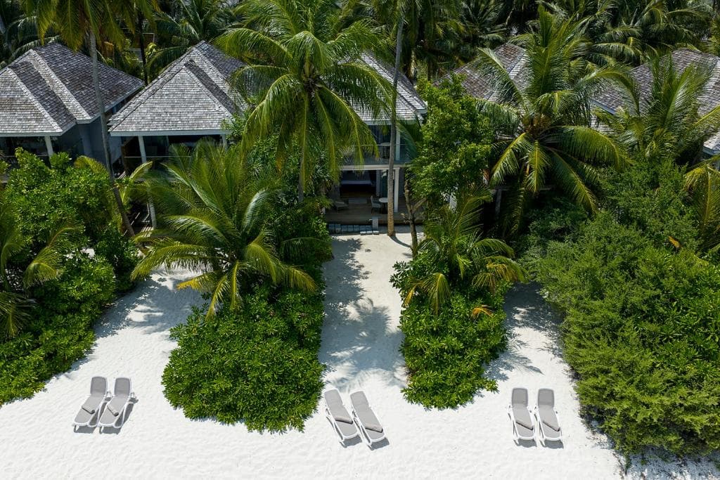 Island Coffee Shop - Image 2