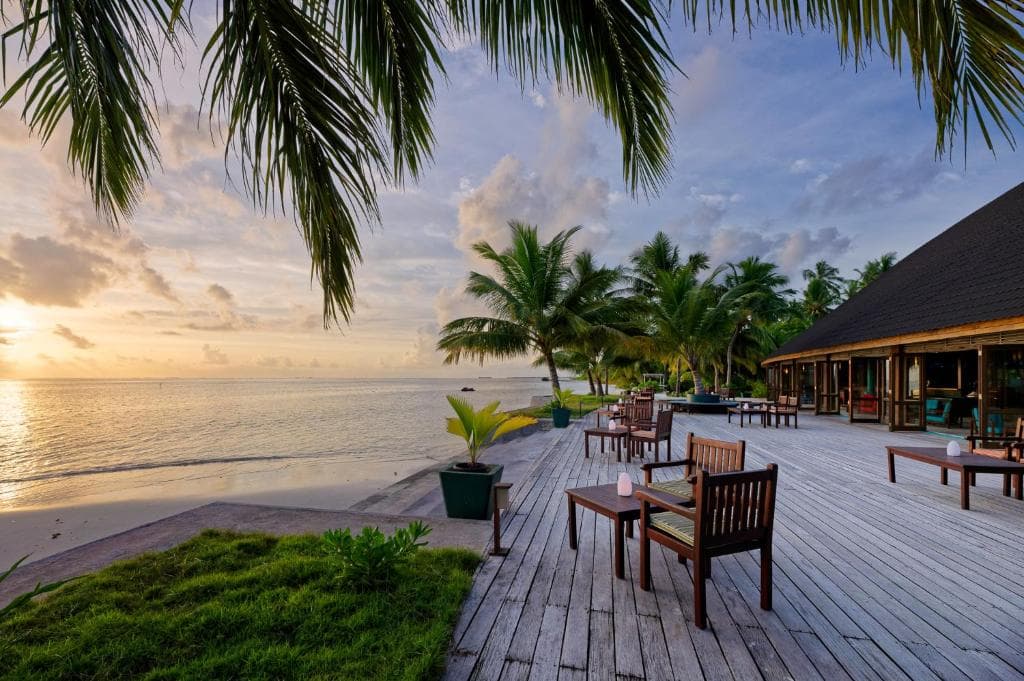 Canareef Resort Maldives - Image 5