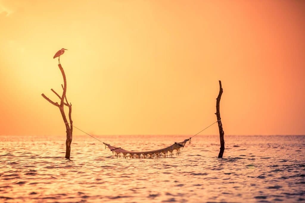 Sun Siyam Vilu Reef - Image 2