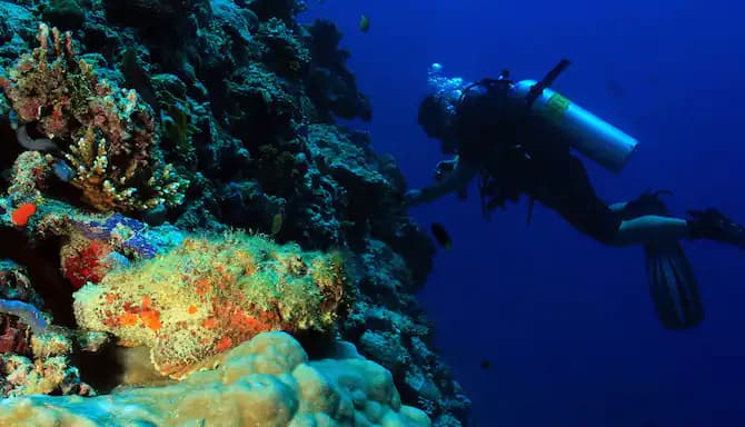 Diving