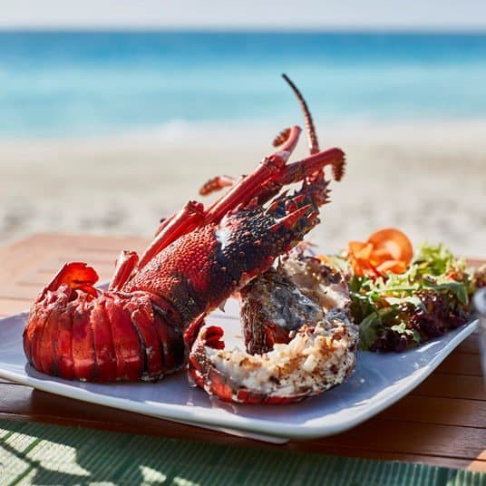 Grouper Grill