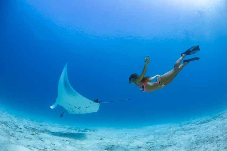 Diving Center - State-of-the-art localbusiness facility at Emerald Maldives Resort & Spa with luxurious tropical surroundings and premium amenities