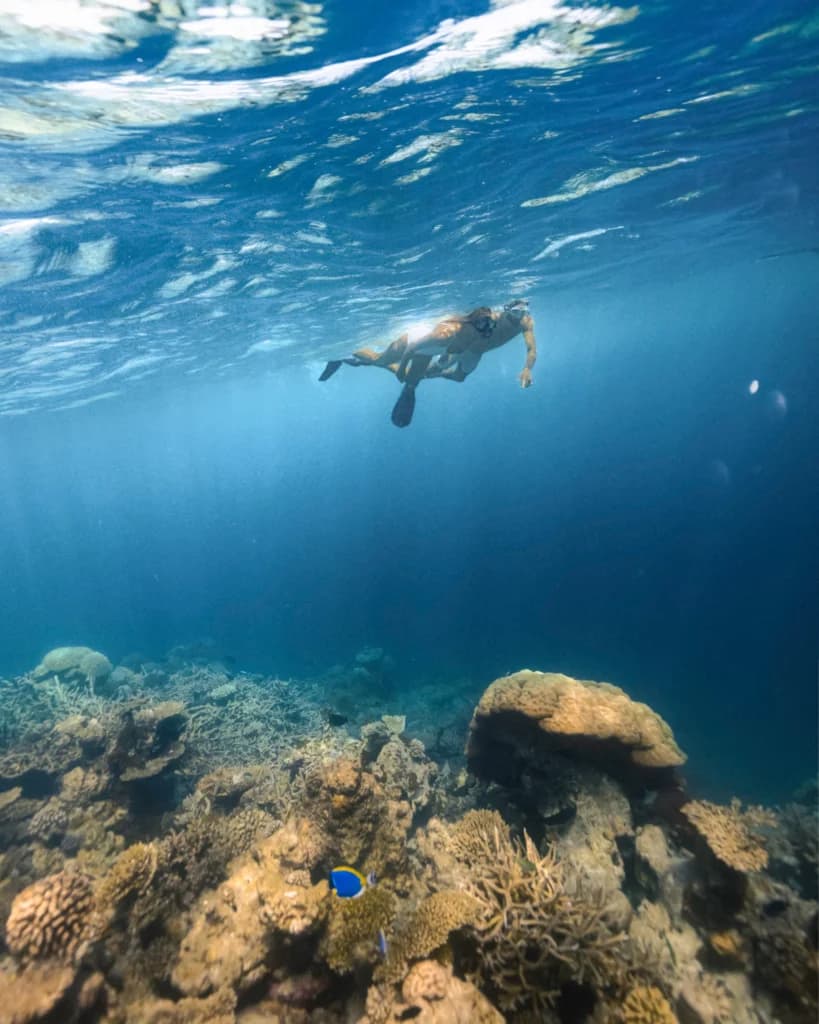 Water Sports & Dive Center