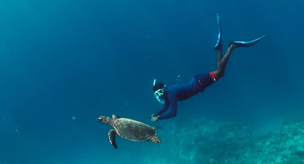Diving