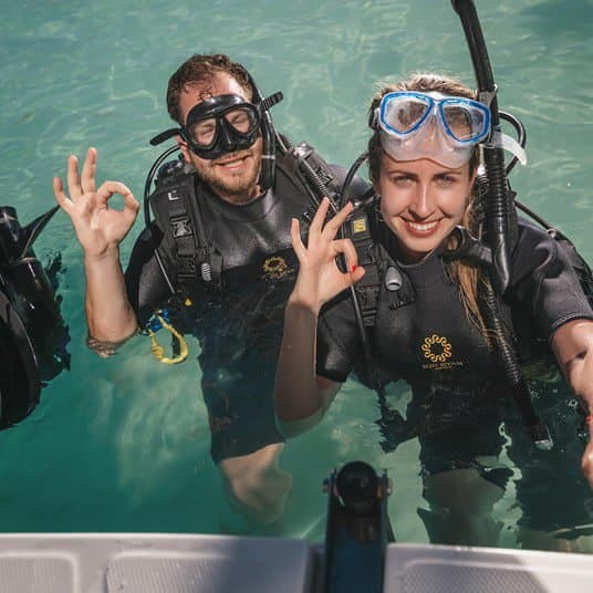 Diving
