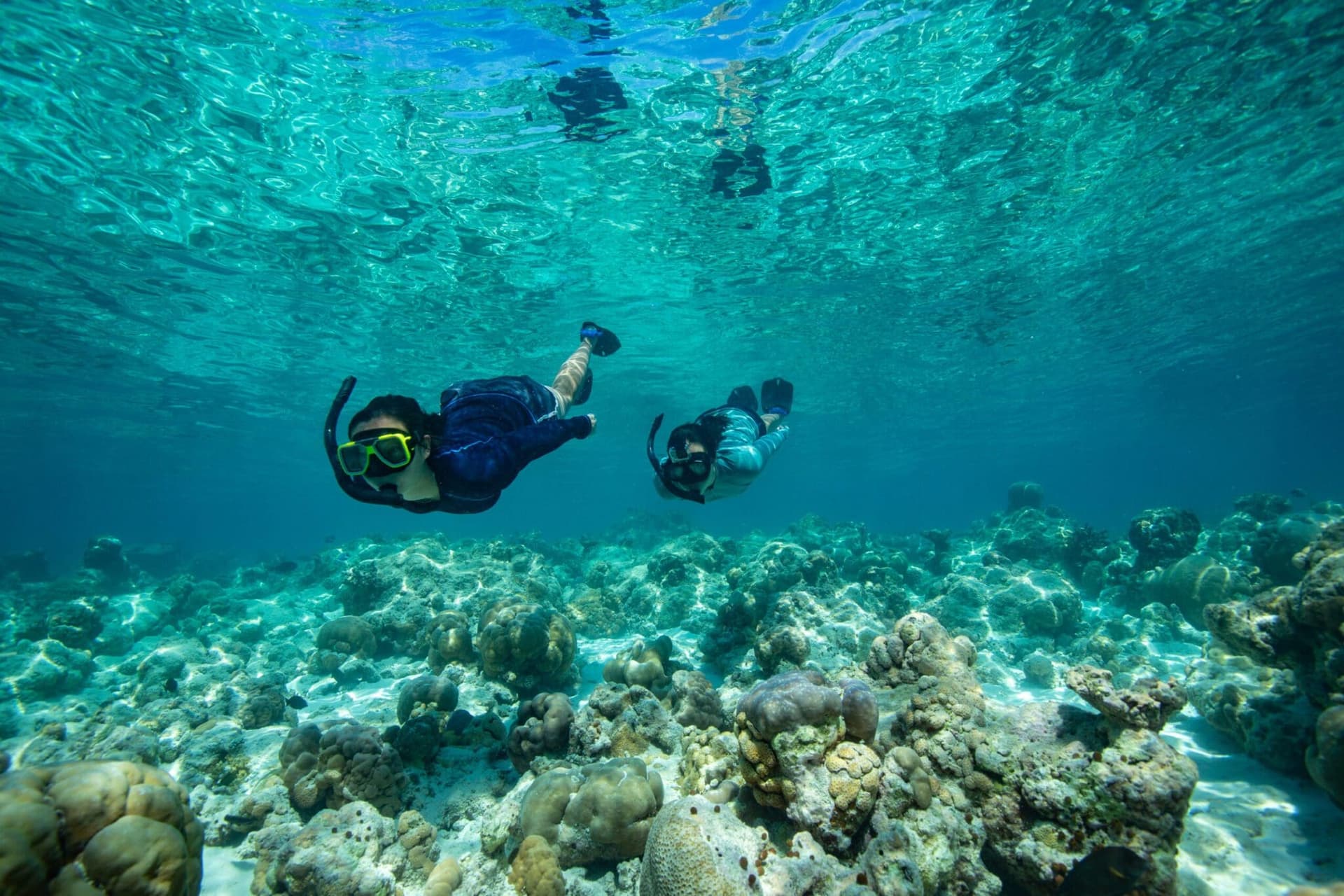 Aquatic Adventures