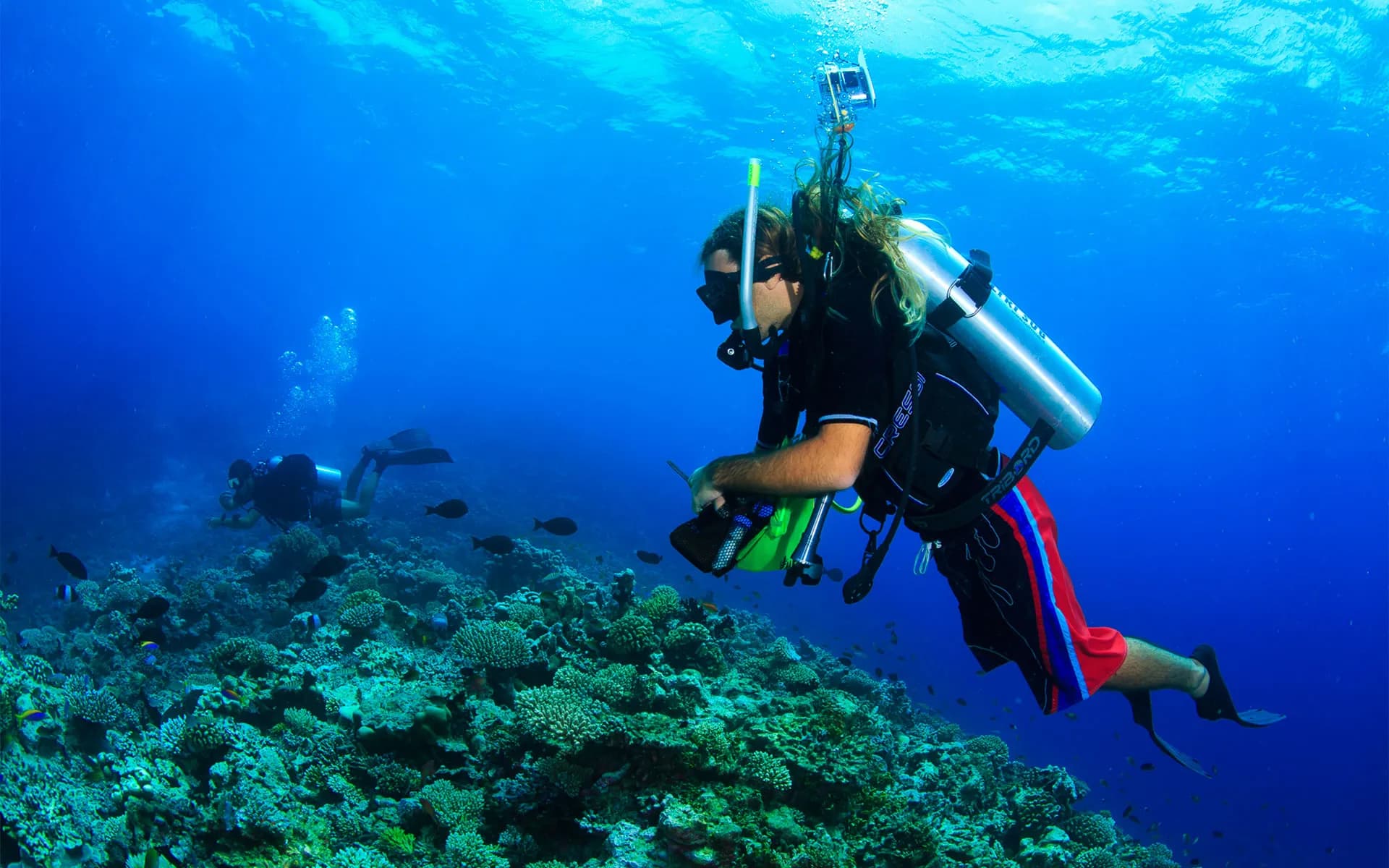 Diving & Water Sports