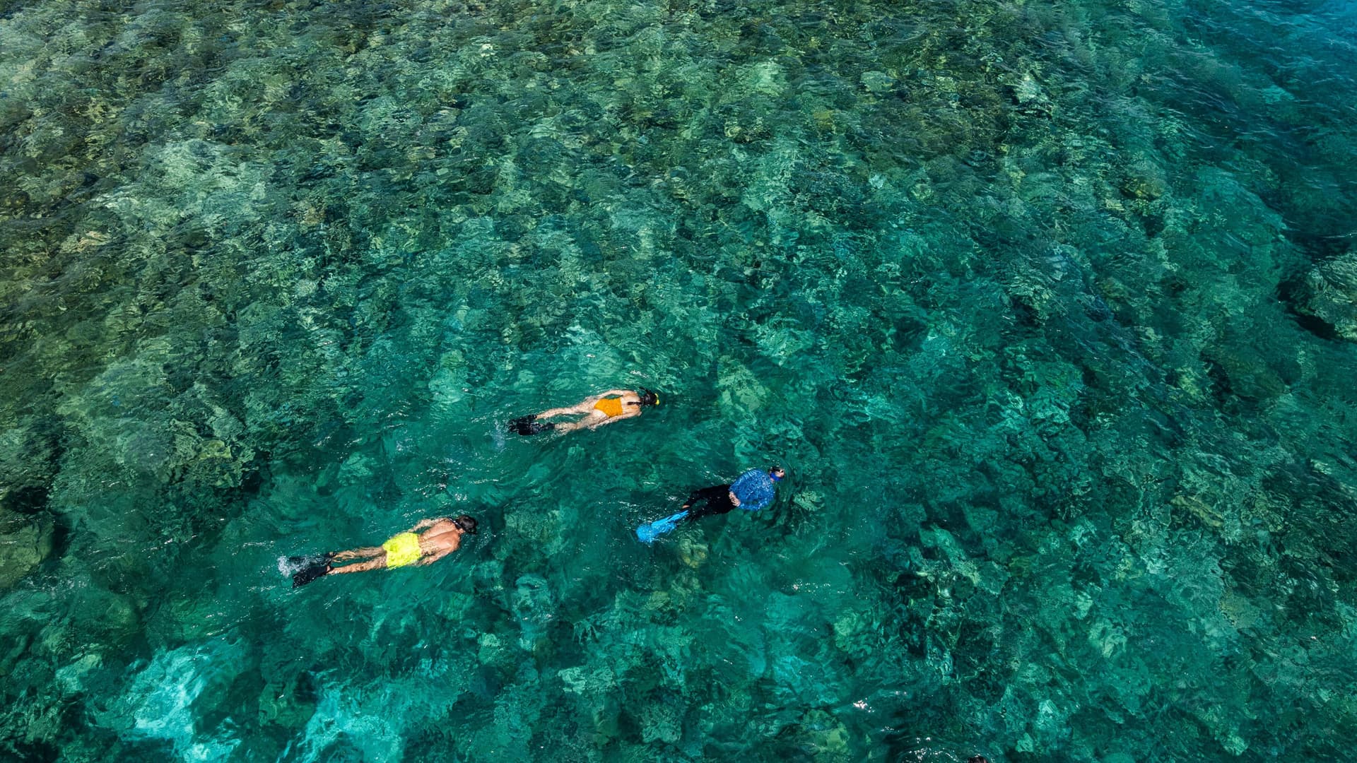 Water Sports & Dive Center