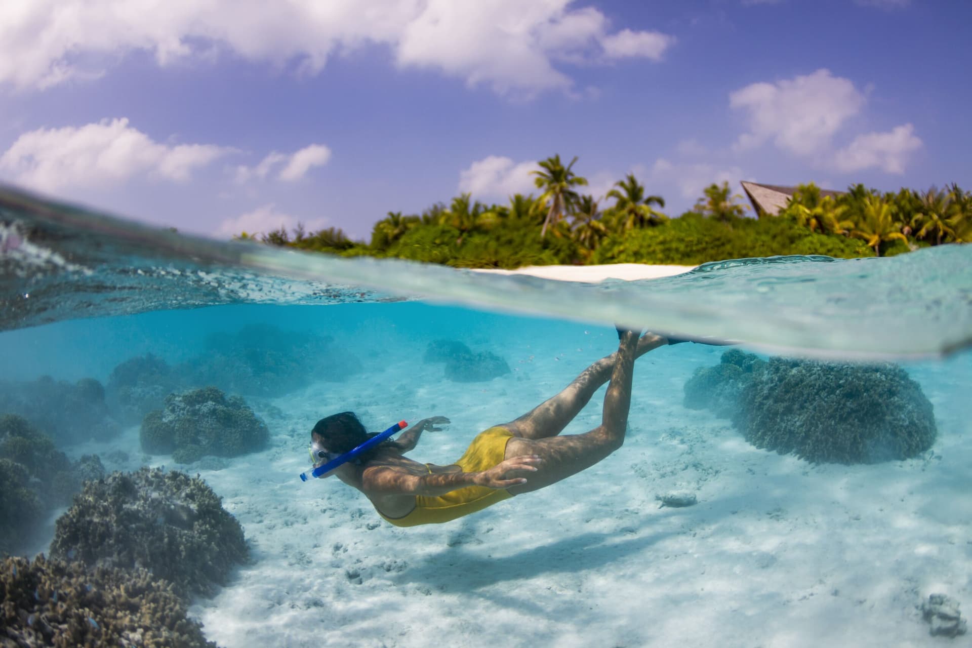 Diving and Watersports Adventures