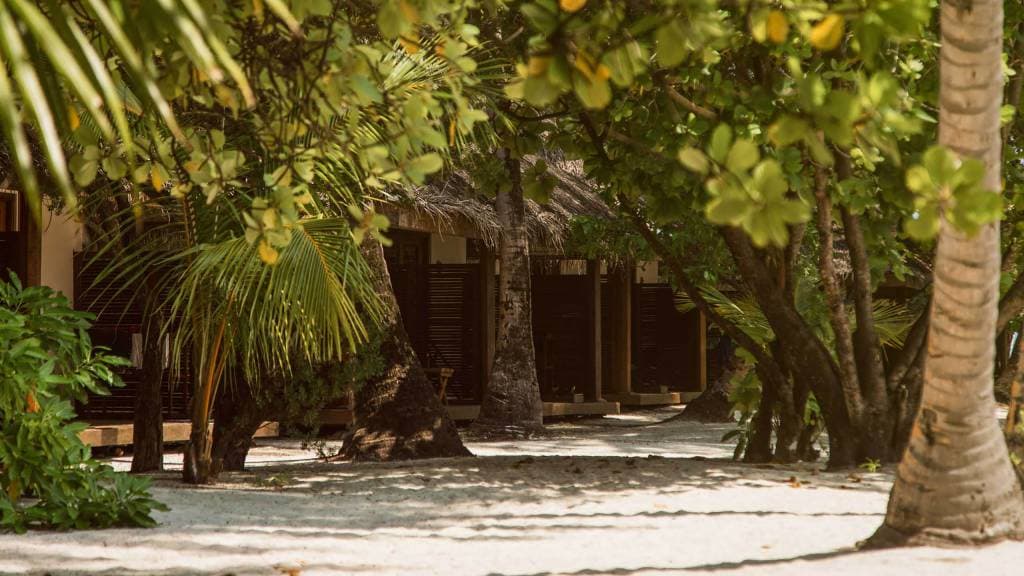 Beach Bungalow