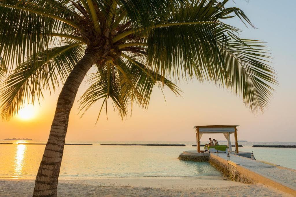 Café - Sophisticated International restaurant at Kurumba Maldives featuring elegant tropical ambiance and gourmet cuisine