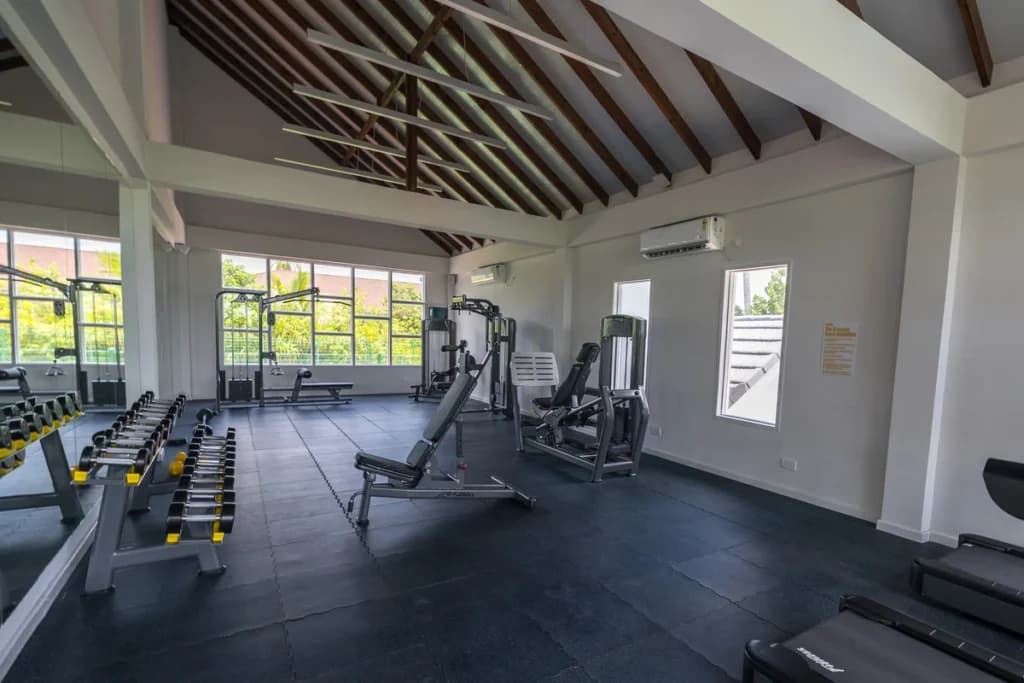 Fitness & Movement