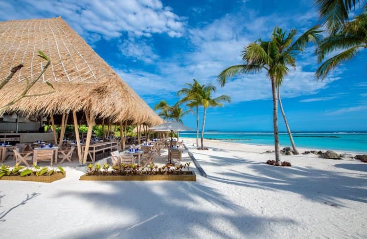 Beach Club Grill Restaurant - Sophisticated Grill restaurant at Emerald Maldives Resort & Spa featuring elegant tropical ambiance and gourmet cuisine