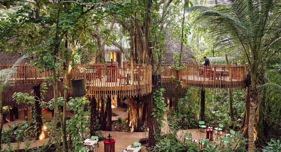 Nest - treetop Asian dining