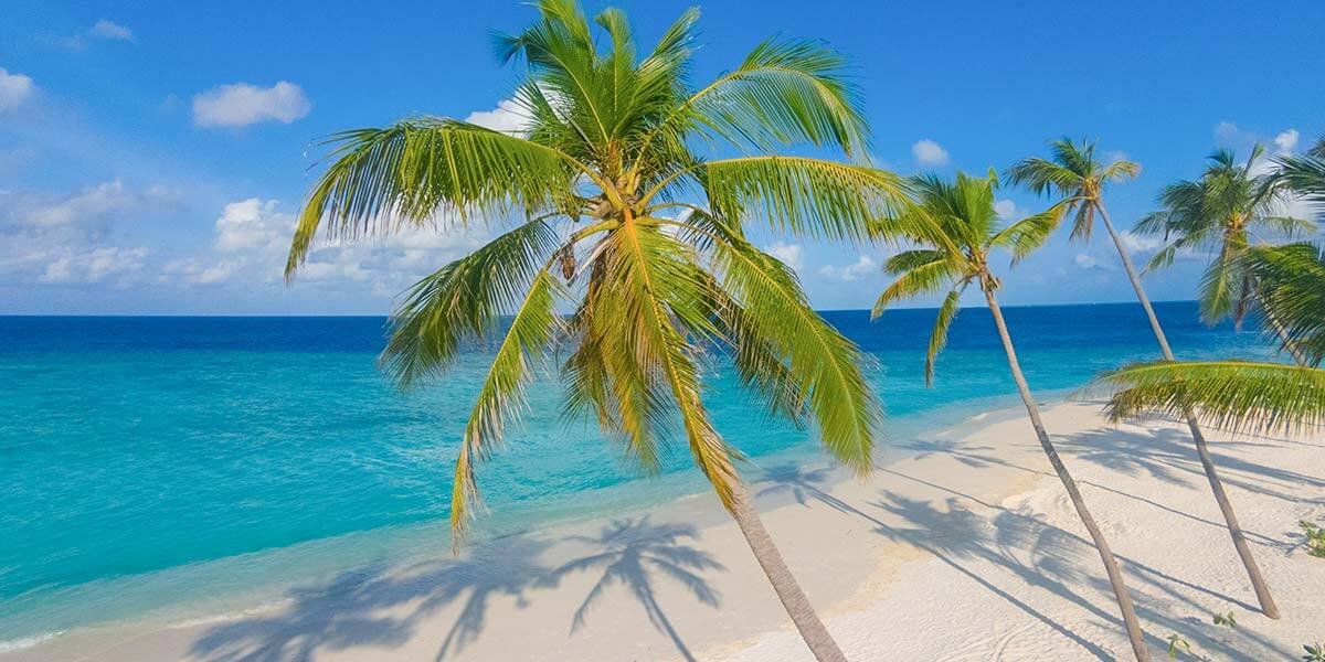 Milaidhoo Island Maldives - Image 2