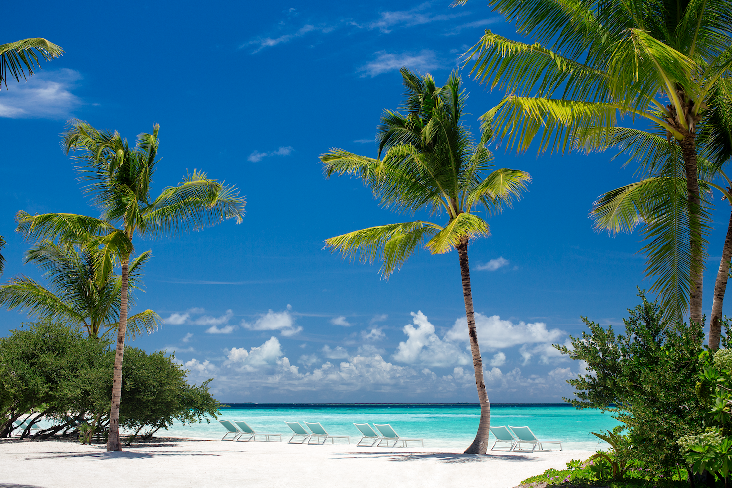 Kandima Maldives - Image 1