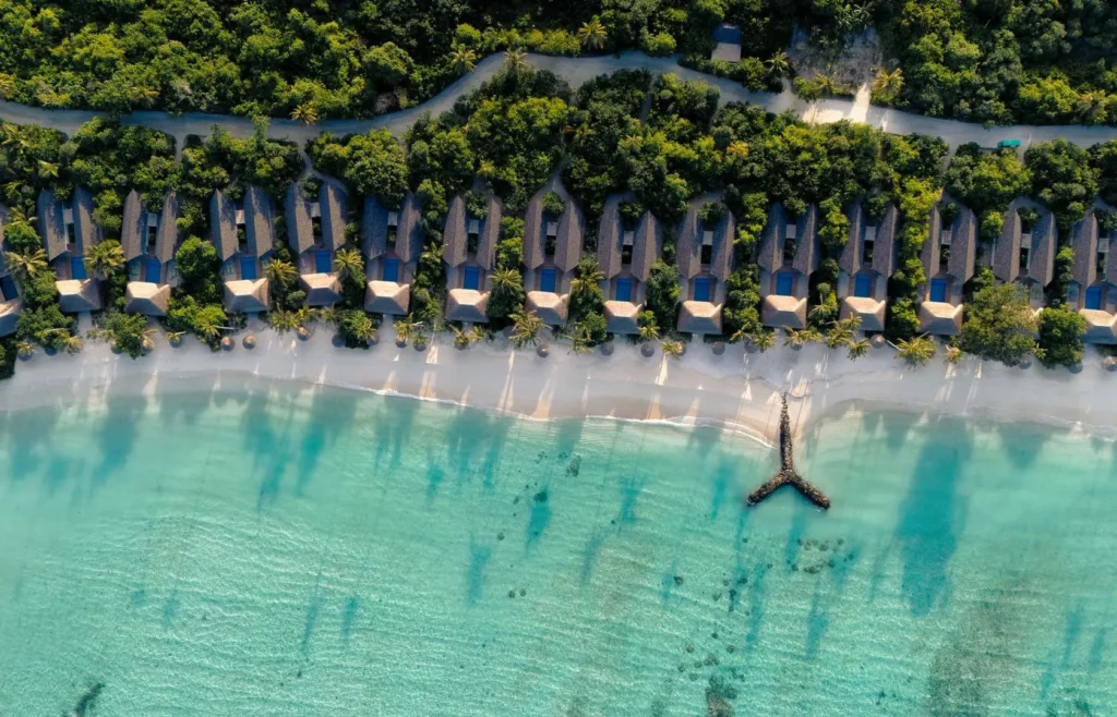 RAAYA By Atmosphere - Image 2