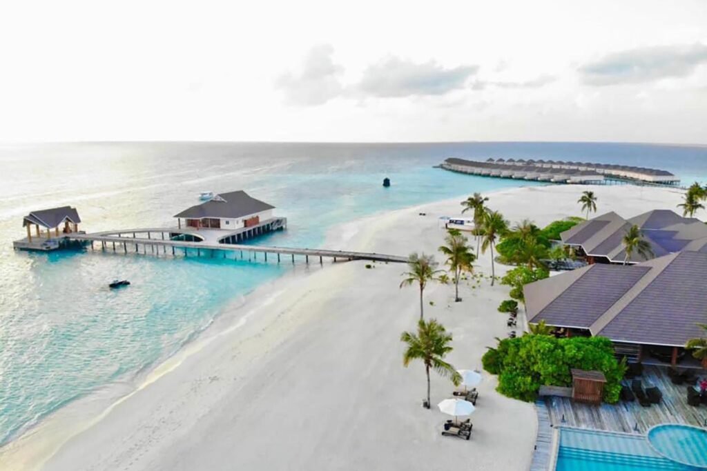 Brennia Kottefaru - Image 1