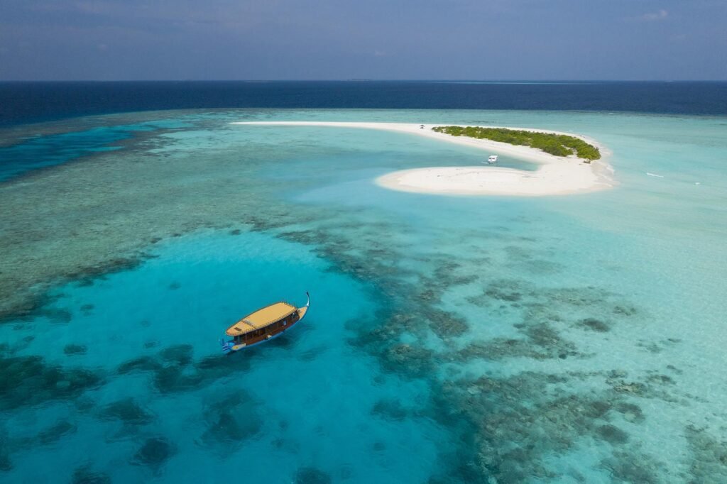 Brennia Kottefaru - Image 3