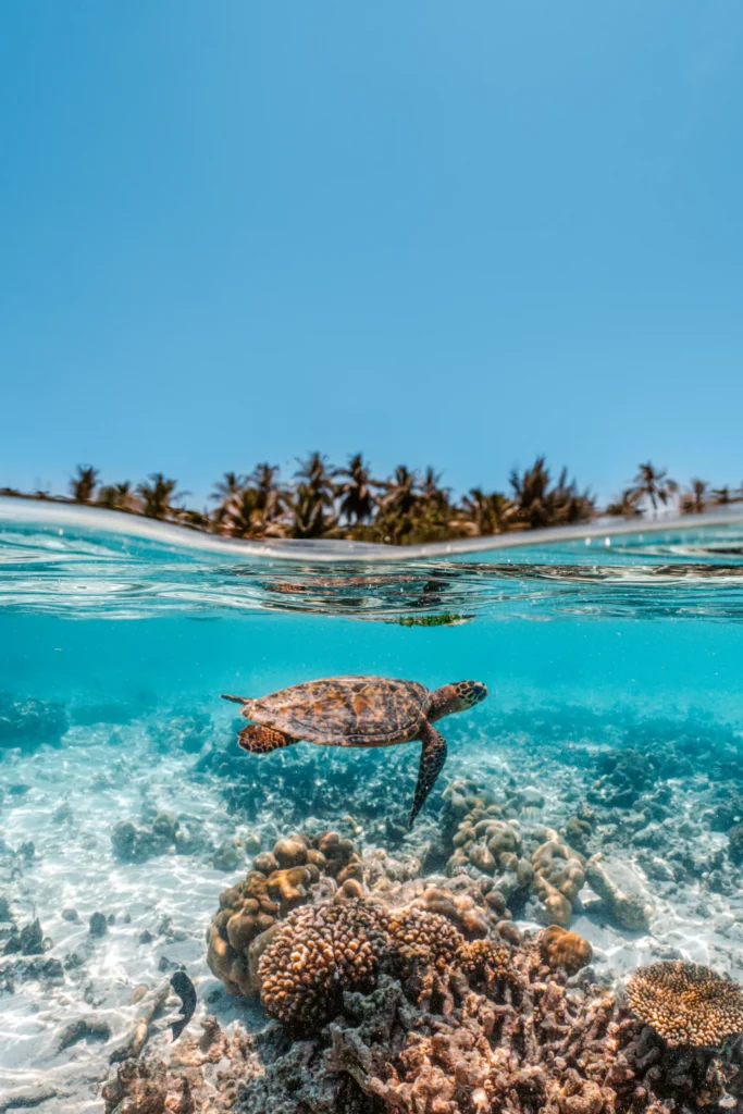 Raffles Maldives Meradhoo - Image 1