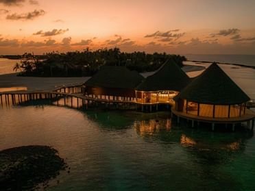 Ananea Madivaru Maldives - Image 19