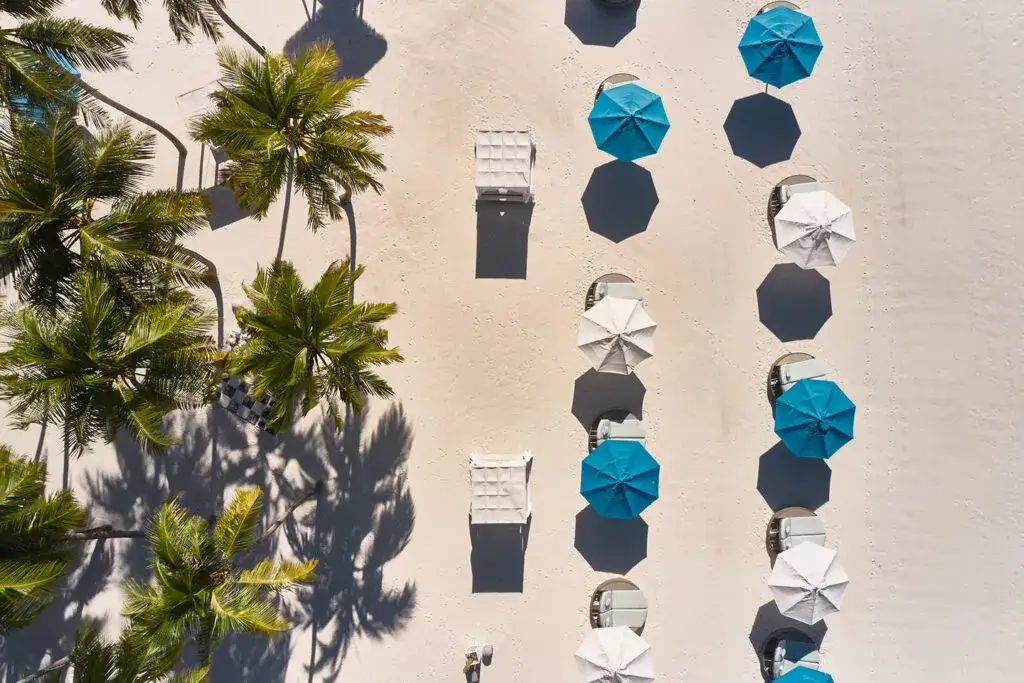 Seaside Finolhu Baa Atoll Maldives - Image 7