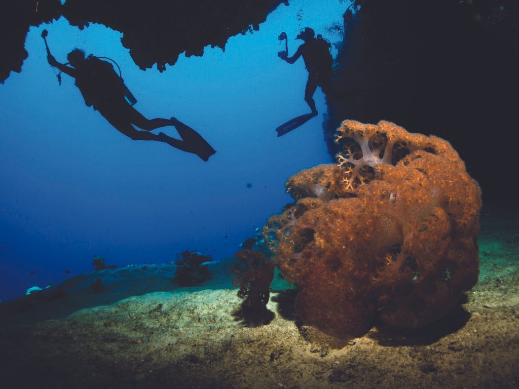 OBLU Select Sangeli - Image 8