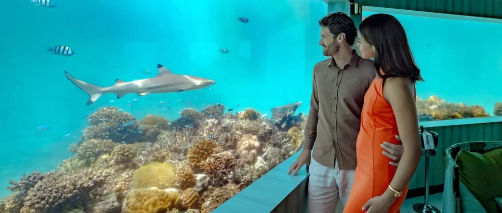 M6m – MINUS SIX METRES