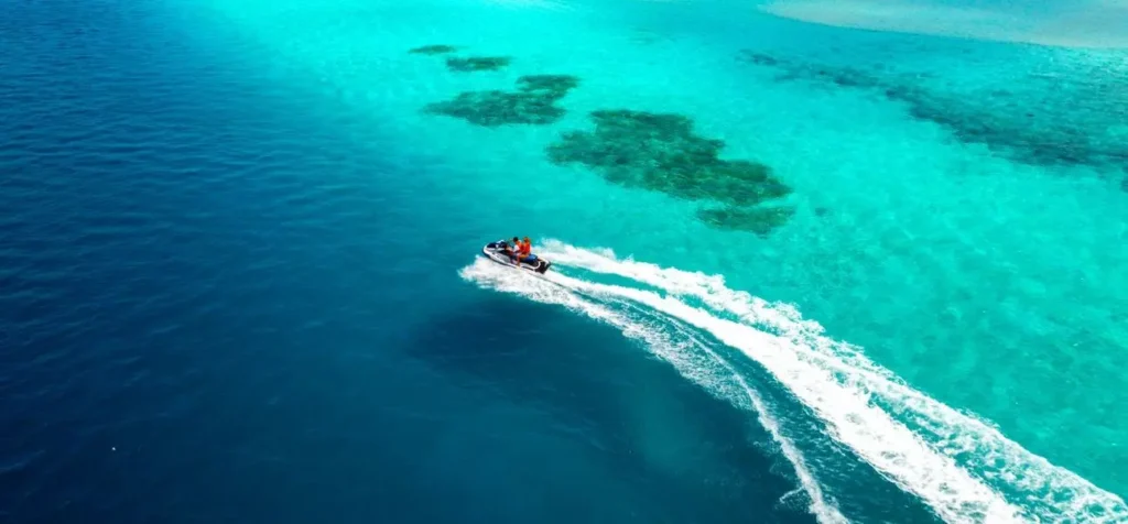 Dolphin Base Maadhoo