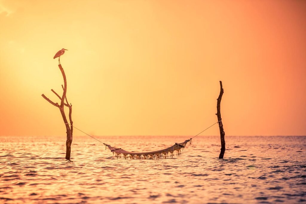 Sun Siyam Vilu Reef - Image 8