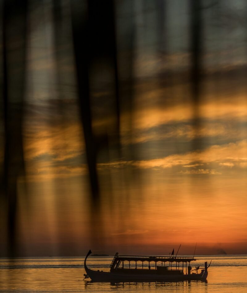 Excursions and Cruises