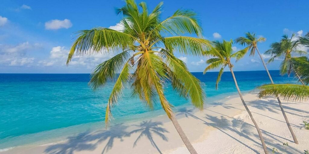 Milaidhoo Island Maldives - Image 30