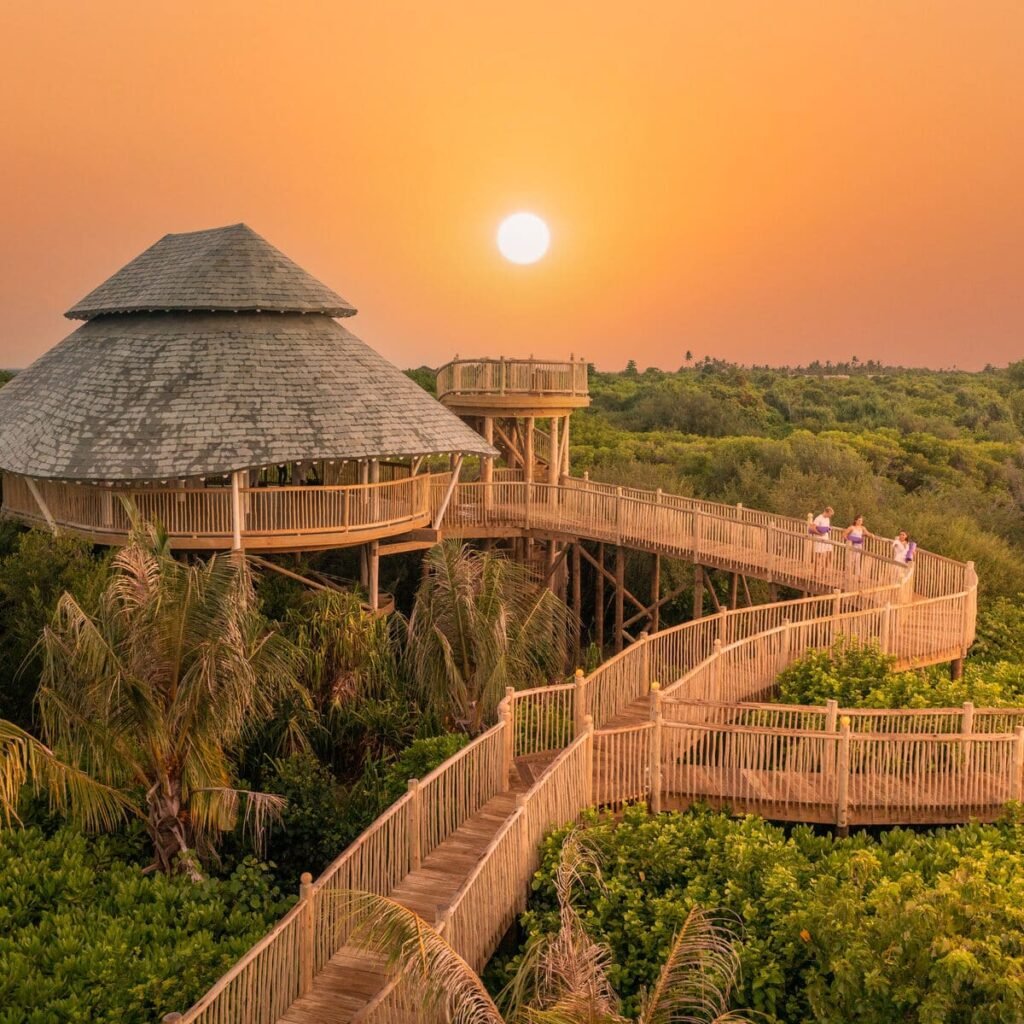 Soneva Soul, Soneva Jani