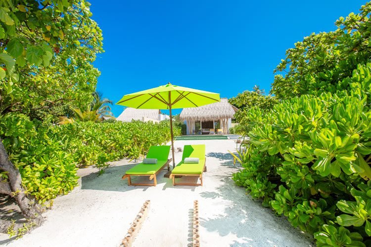 Beach Villas with Pool - Emerald Maldives - Image 4