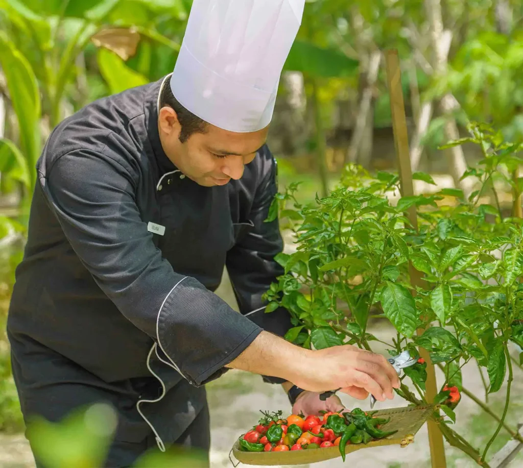 Cooking & Cocktail-making Classes